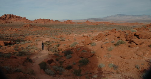 walking in the Valley of Fire